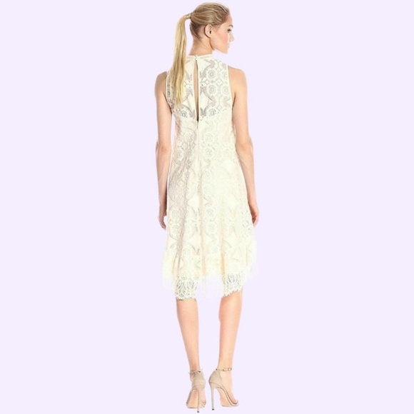 ERIN by Erin Fetherston Cream Lace Midi Dress - Picture 3 of 10